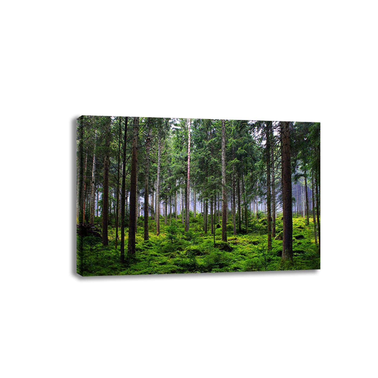 Forest Landscape Canvas Wall Art - Framed Nature Painting Print for Living Room Decor (80x120cm/31.4x47.2in) - Perfect for Home, Office & Bedroom Wall Decoration