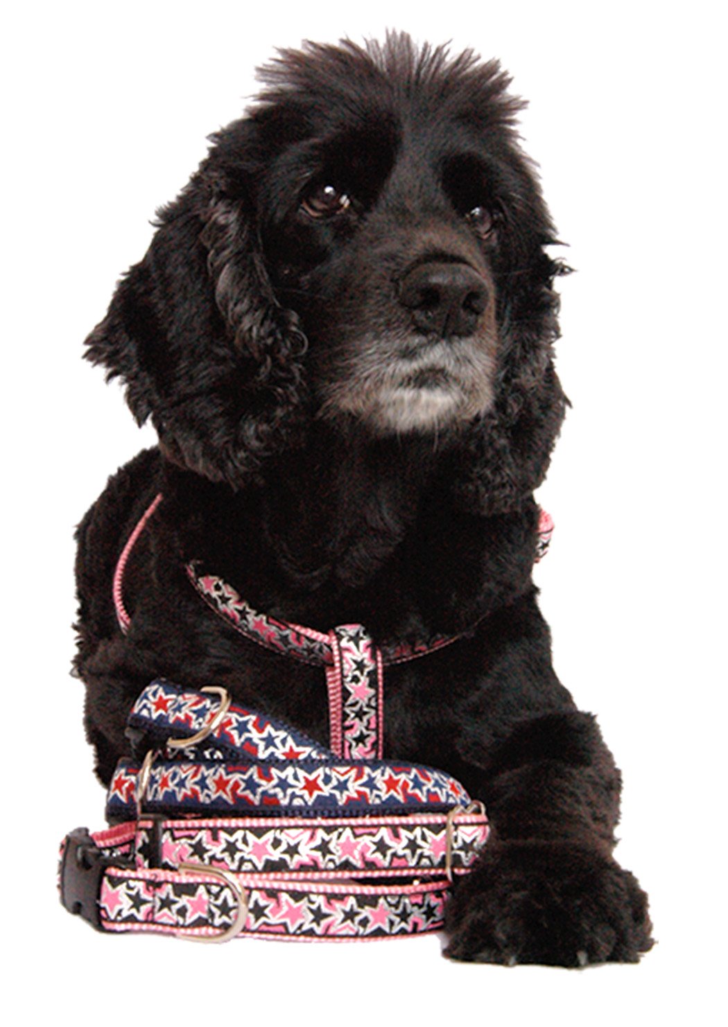 Pink Nylon Dog Collar with Metallic Star Ribbon - Adjustable Pet Collar for Small, Medium & Large Dogs | Handmade in USA | Matching Leash & Harness Available | Perfect for Daily Walks, Training & Fashion Accessories