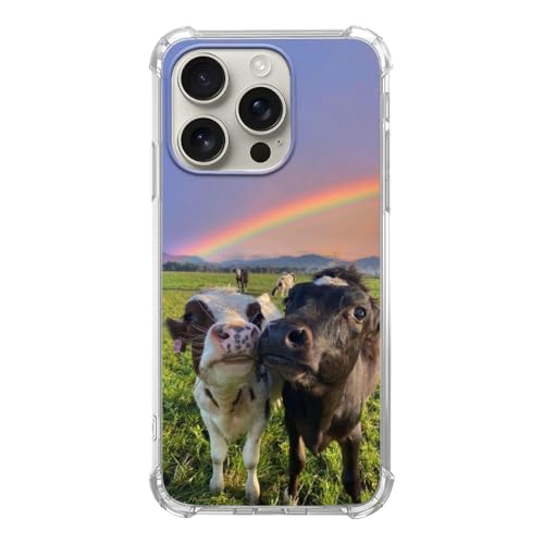 Cute Cows