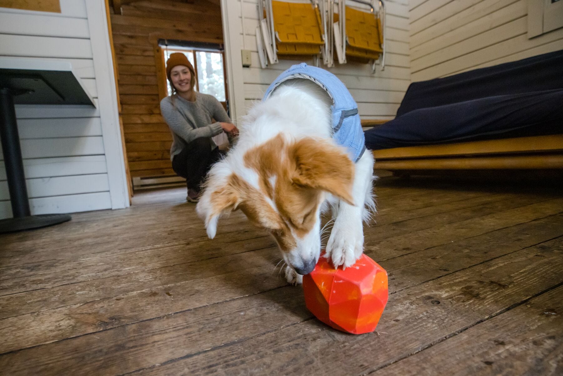 Gnawt a Rock® Purple Orchid Dog Food Dispenser & Ruffwear® Treat Holder - Durable Pet Feeding Solution for Indoor & Outdoor Use