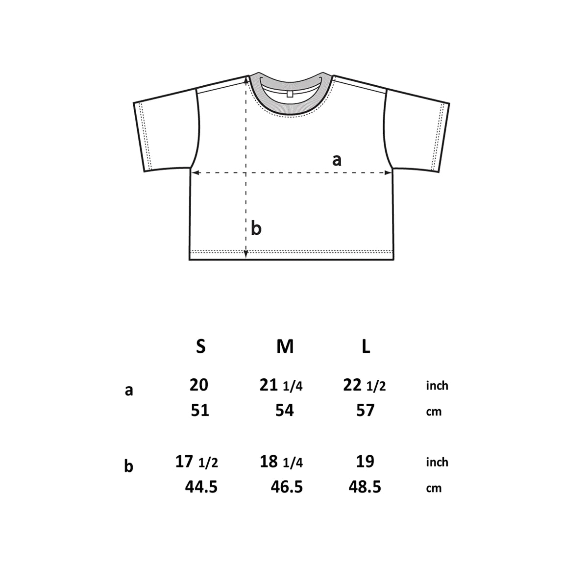 Son Lux Gradient Logo Crop Top - Stylish Women's Graphic T-Shirt for Concerts, Music Festivals & Casual Wear