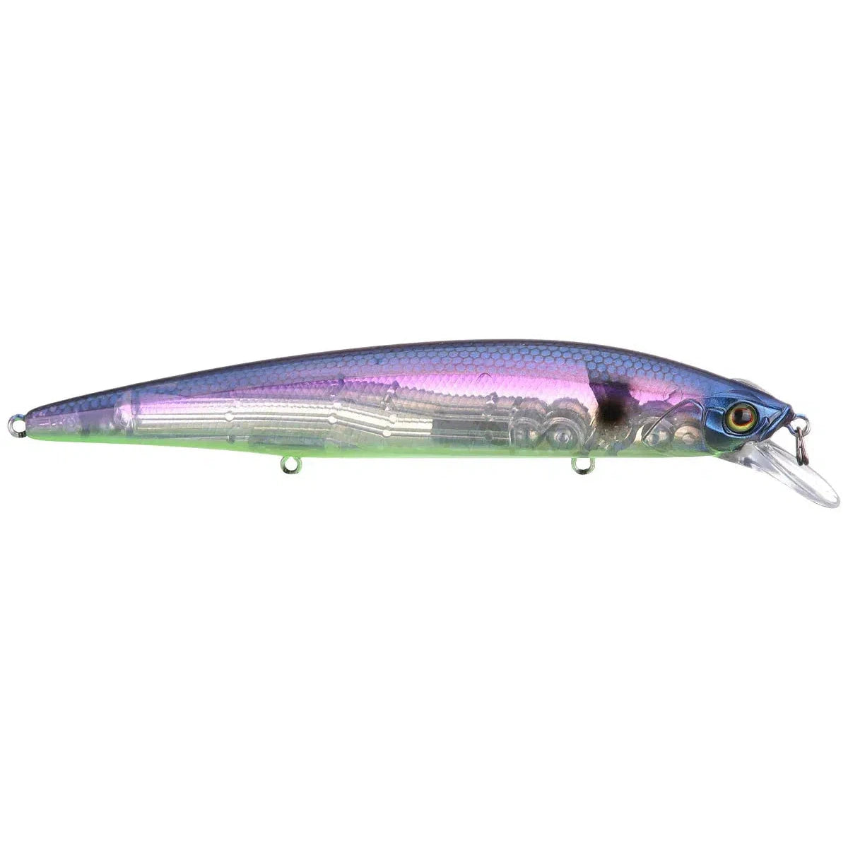SG Threadfin Shad