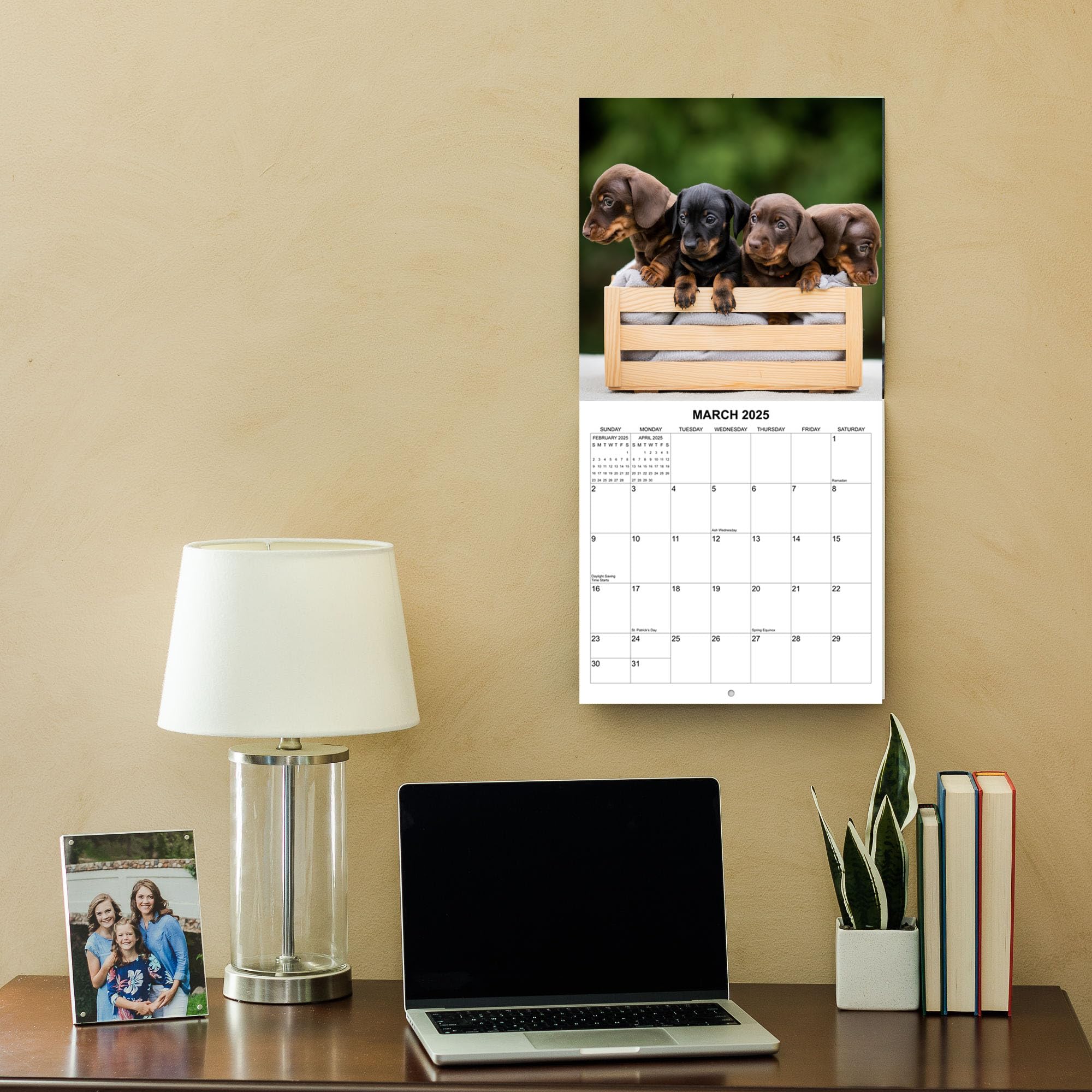 2025 Dachshund Wiener Dog Wall Calendar - 12