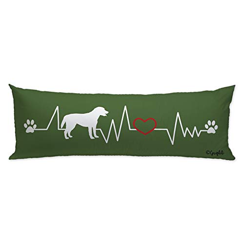 Labrador4