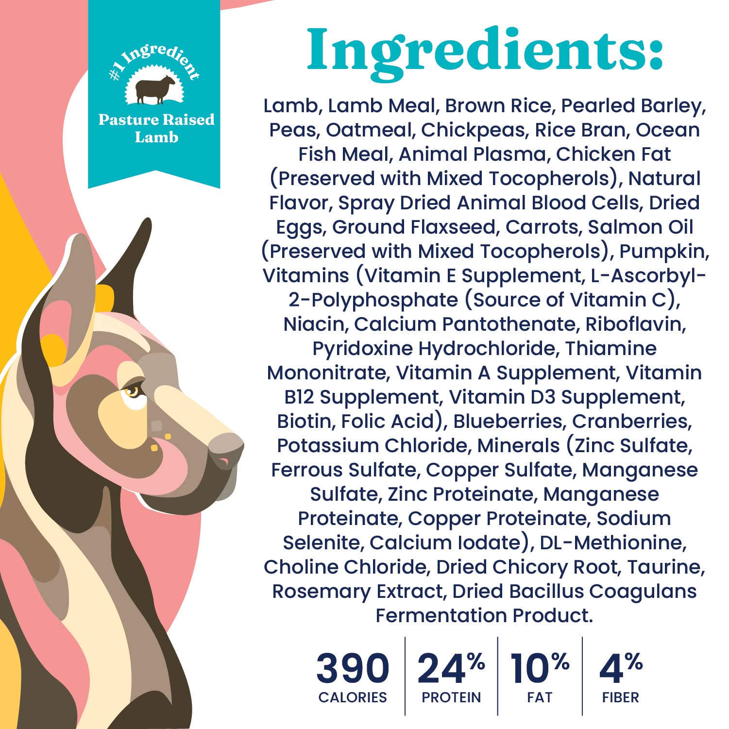 Premium Solid Gold Dry Dog Food for Adult & Senior Dogs - High Protein Lamb & Brown Rice Recipe - Weight Management & Digestive Health Support - Nutrient-Rich Kibble for Active & Aging Dogs - 4 LB Bag - Perfect for Daily Meals & Training Treats