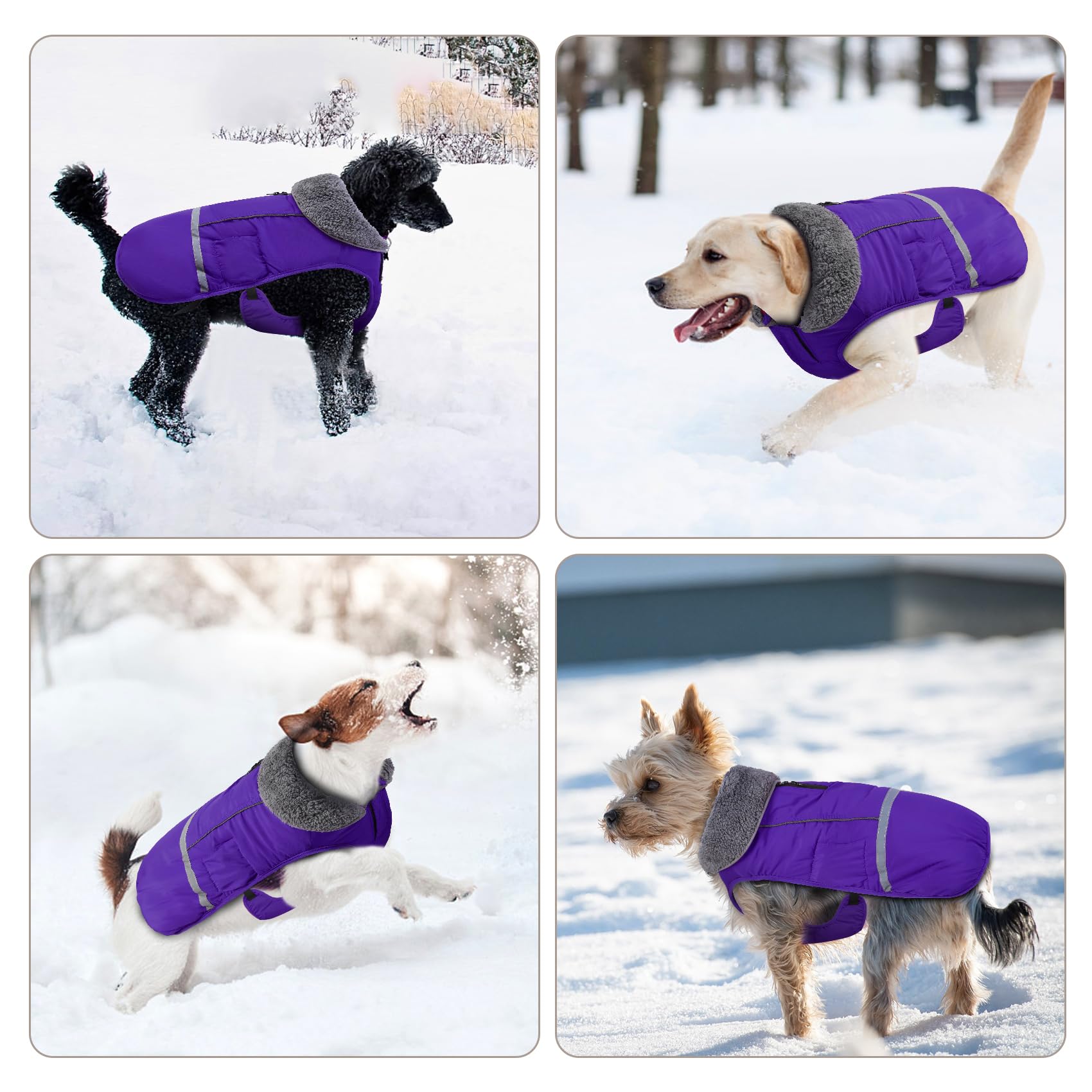 Doglay Waterproof Dog Winter Coat - Thick Furry Collar, Reflective & Warm Fleece Lining - Cold Weather Jacket for Small, Medium & Large Dogs - Ideal for Snowy Walks & Outdoor Adventures