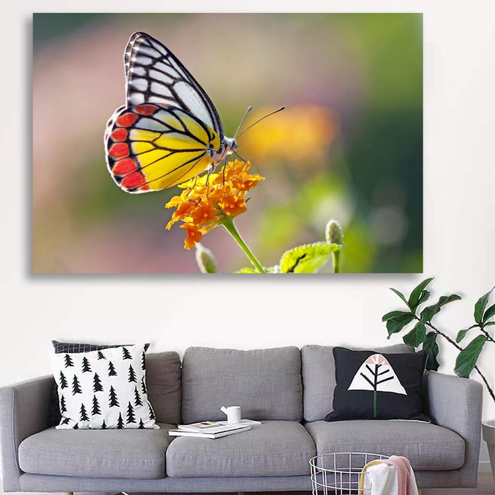 Beautiful Butterfly Giclee Painting Wall Art - 16x24 Inches Canvas Print for Bedroom, Living Room, and Home Decoration - Perfect for Nature-Inspired Interior Design
