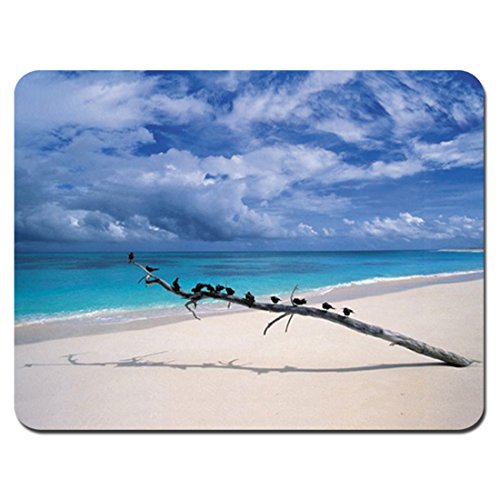 Beach Sky