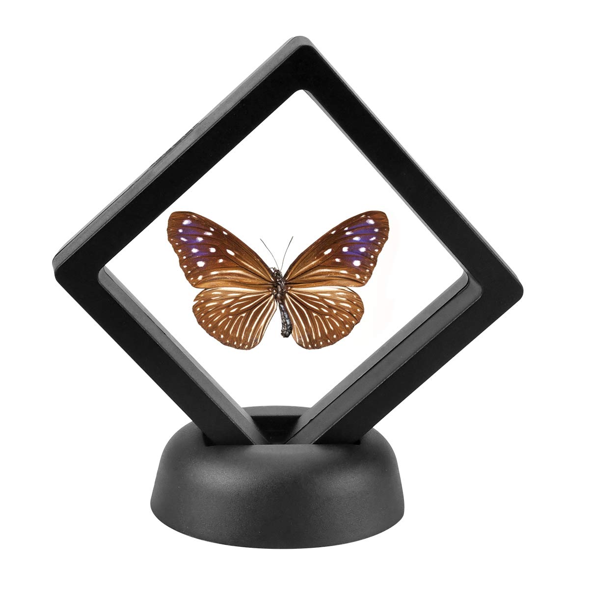Enenes 5-Pack 3D Floating Coin Display Case with Stands - Clear Acrylic Frame for Military Medals, Jewelry, Medallions & Specimens - Premium Shadow Box Collection for Home Decor, Office Display & Collectible Showcase