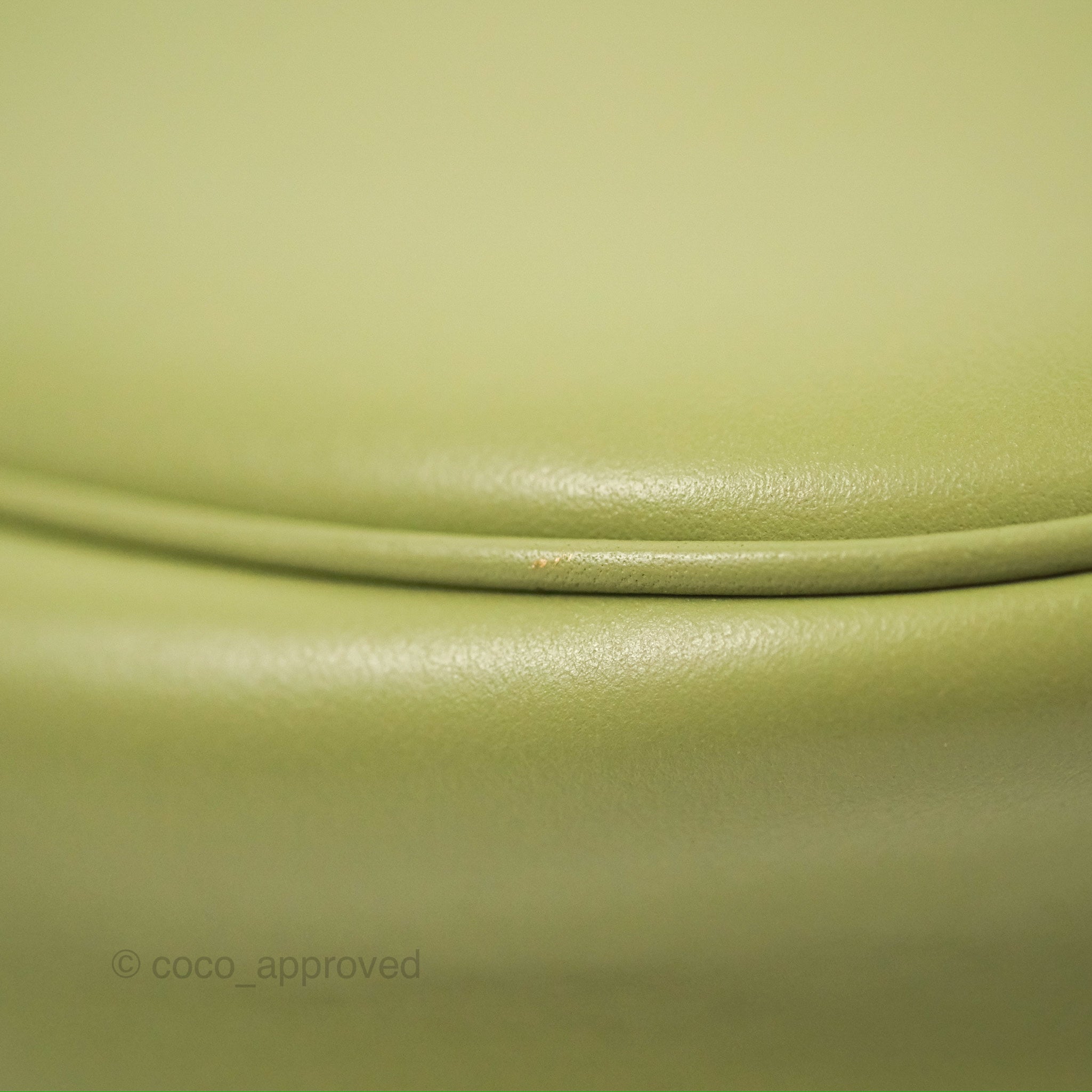 Celine Ava Bag in Avocado Green Calfskin Leather - Stylish Crossbody Purse for Women, Perfect for Everyday Use, Work & Travel