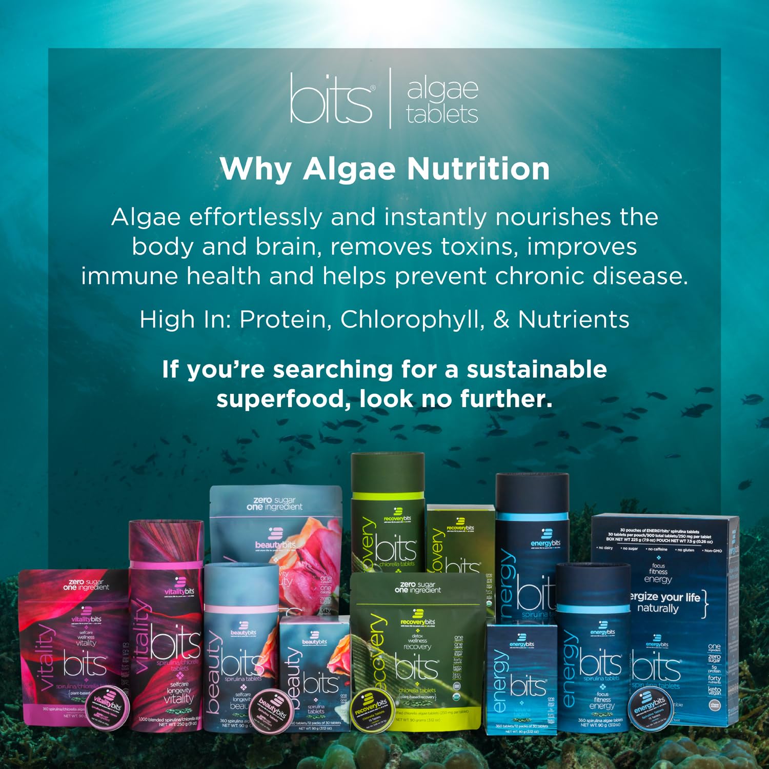 Organic Chlorella Tablets - Plant-Based Algae Superfood with Cracked Cell Wall for Maximum Absorption | Rich in Chlorophyll, Supports Energy, Immune System & Detox | Keto, Vegan, Non-GMO | 900 Tablets (30 Pouches) | Perfect for Daily Wellness, Smoothie Boosts & Cleanse Programs