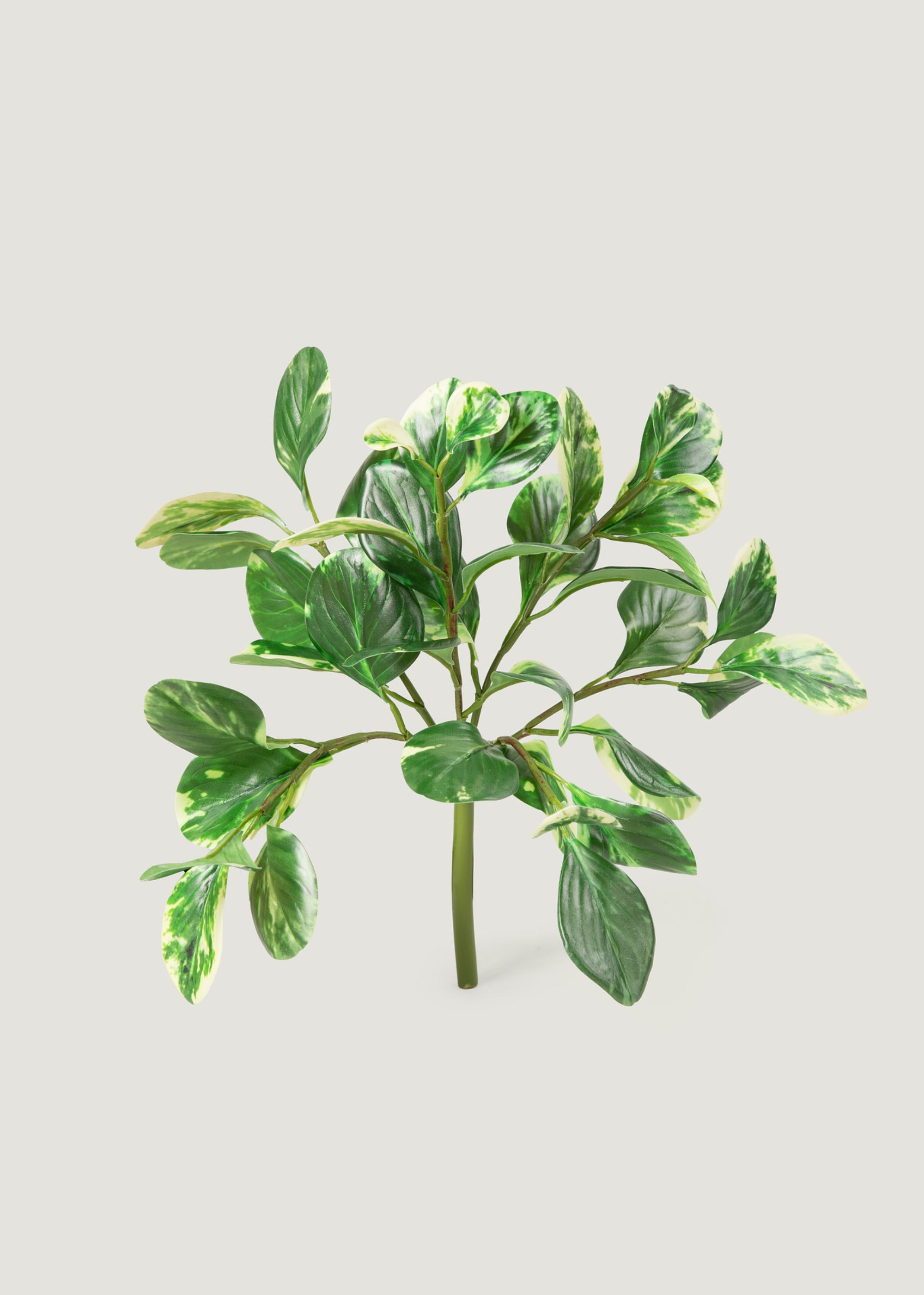 Variegated Green Small Artificial Peperomia Plant - 16