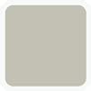 Silver Silver