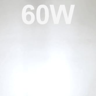 60w Daylight White