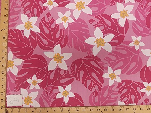 Pink Plumeria Hp-64