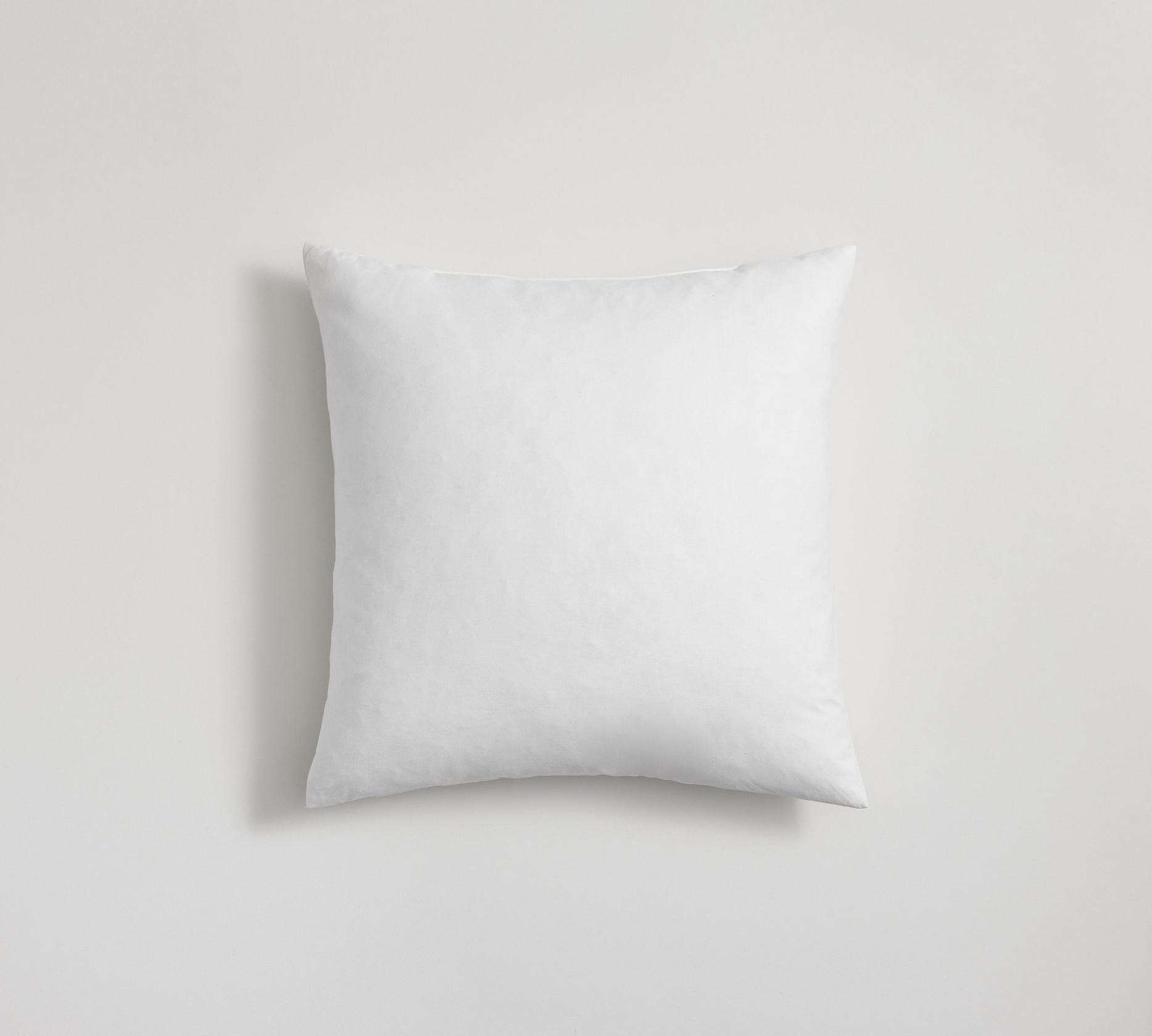Pottery Barn 20x20 Inch Suede Pillow Cover with Down Feather Insert - Soft Luxury Throw Pillow for Sofa, Bed & Home Decor