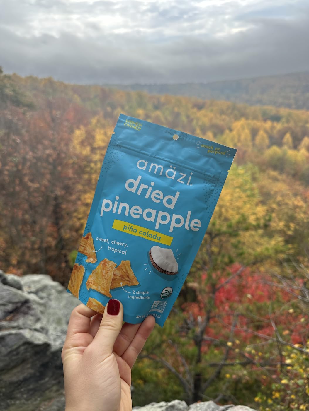 Amäzi Foods All Natural Dried Pineapple - Piña Colada Flavor (6 Pack) | No Sugar Added Dehydrated Fruit Snacks | Perfect for Healthy Snacking, Lunch Boxes & On-the-Go Treats