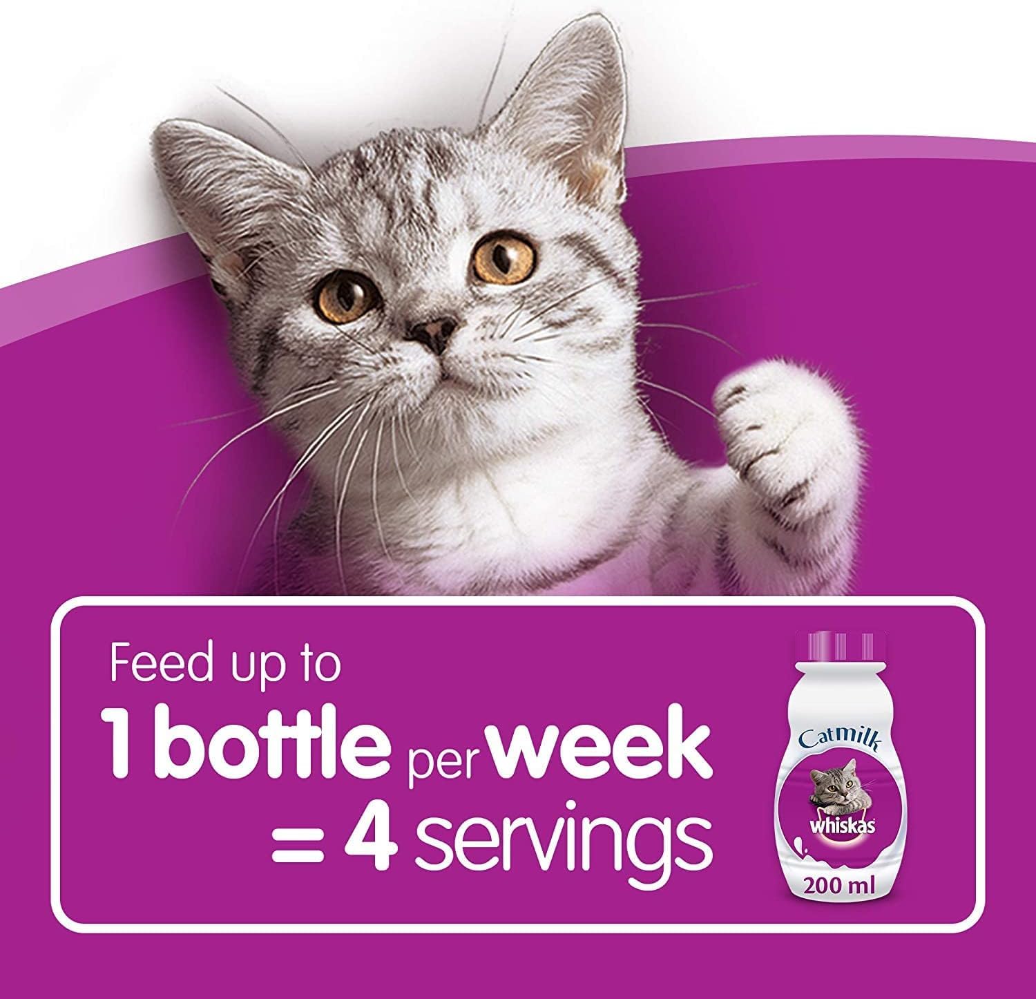 Premium Kitten Milk & Food Pouches Bulk Bundle for 2-12 Month Old Kittens - 6x85g Poultry Feast in Gravy, 3x200ml Kitten Milk Bottles, 55g Milky Treats & Koala Pet Toy - Ideal for Weaning, Feeding & Playtime