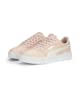 Rose Dust-warm White-puma Silver-puma White