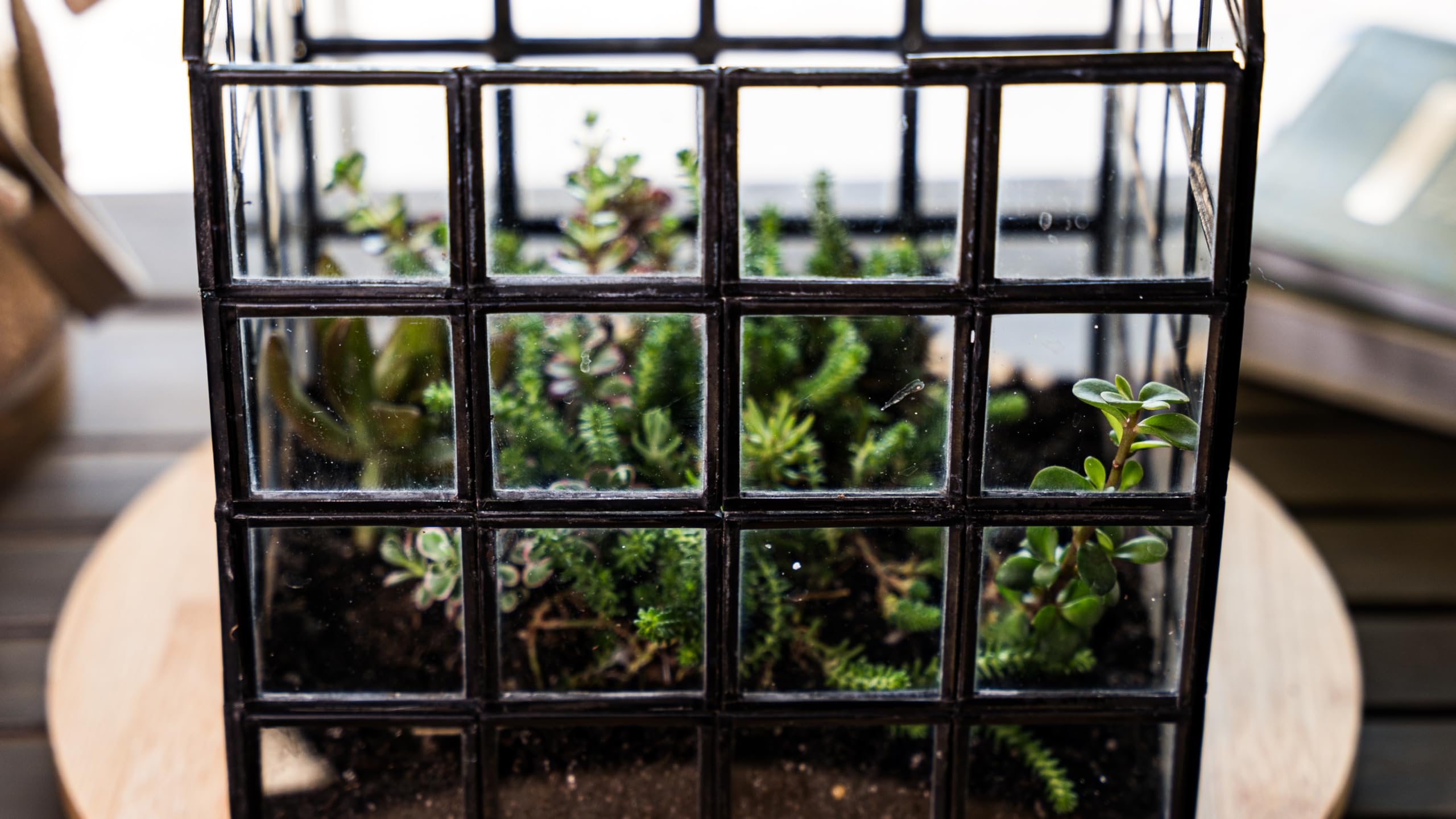 Large Glass Terrarium with Lattice Design - 12