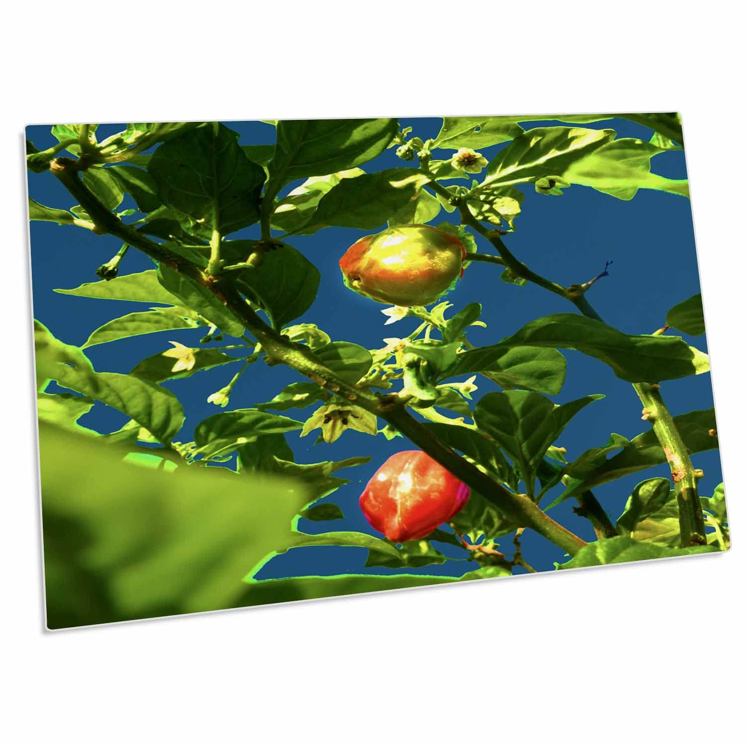 3D Printed Peppers on Plant Against Blue - Non-Slip Desk Pad Place Mats (Set of 4) for Dining Table, Office Desk, Kitchen Countertop Decor