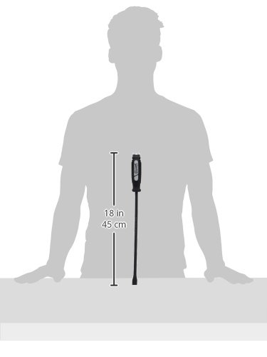 Williams JHWC-812 17-Inch Screwdriver Type Pry Bar - Heavy Duty Demolition Tool for Construction, Automotive Repair & Woodworking Projects