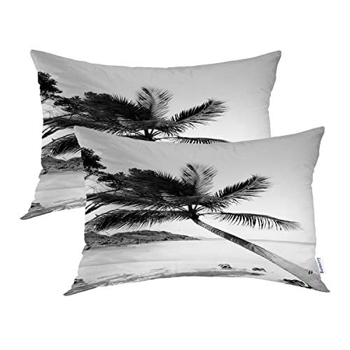 Summer Palm Tree Black1