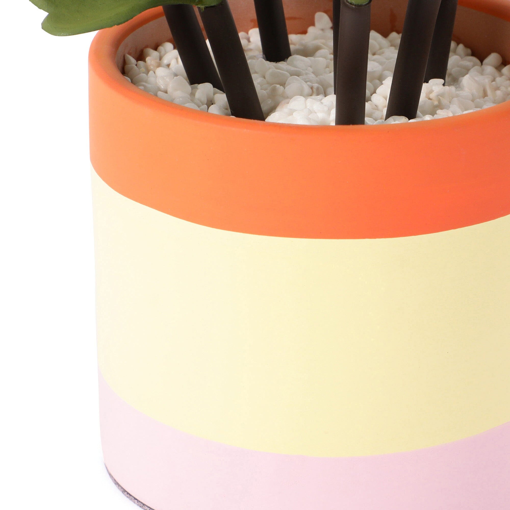 Art Green & Pot Succulents - Beautiful Live Succulent Plants for Home Decor, Office Desk, and Garden - Perfect for Indoor and Outdoor Planting