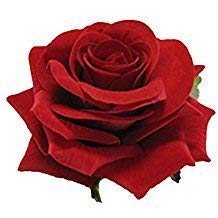 ZALYA 2 Pack Red Rose Flower Hair Clips for Women & Girls - Elegant Hair Accessories for Weddings, Parties & Everyday Wear