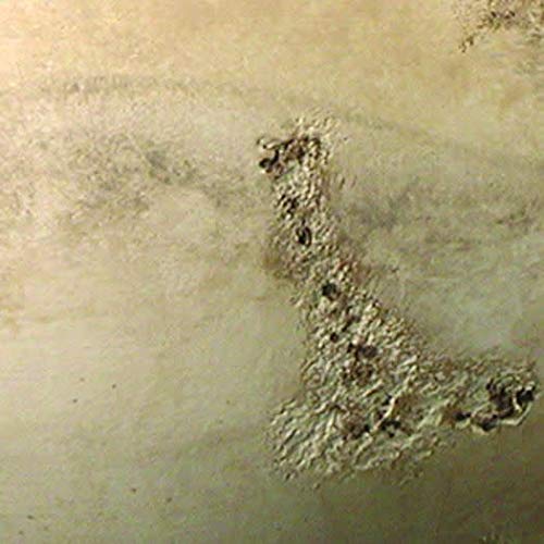 Justice Design Group Ambiance Collection 2-Light Wall Sconce in Bisque Finish - Elegant Wall Lighting for Bedroom, Hallway & Living Room Decor