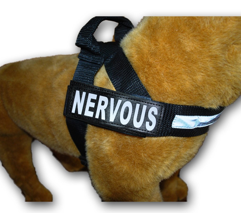 Nervous Service Dog Harness - No Pull Nylon Guide Assistance Vest with 2 Reflective Removable Patches | Perfect for Anxious Pets, Therapy Dogs & Emotional Support Animals | Measure Your Dog Before Ordering