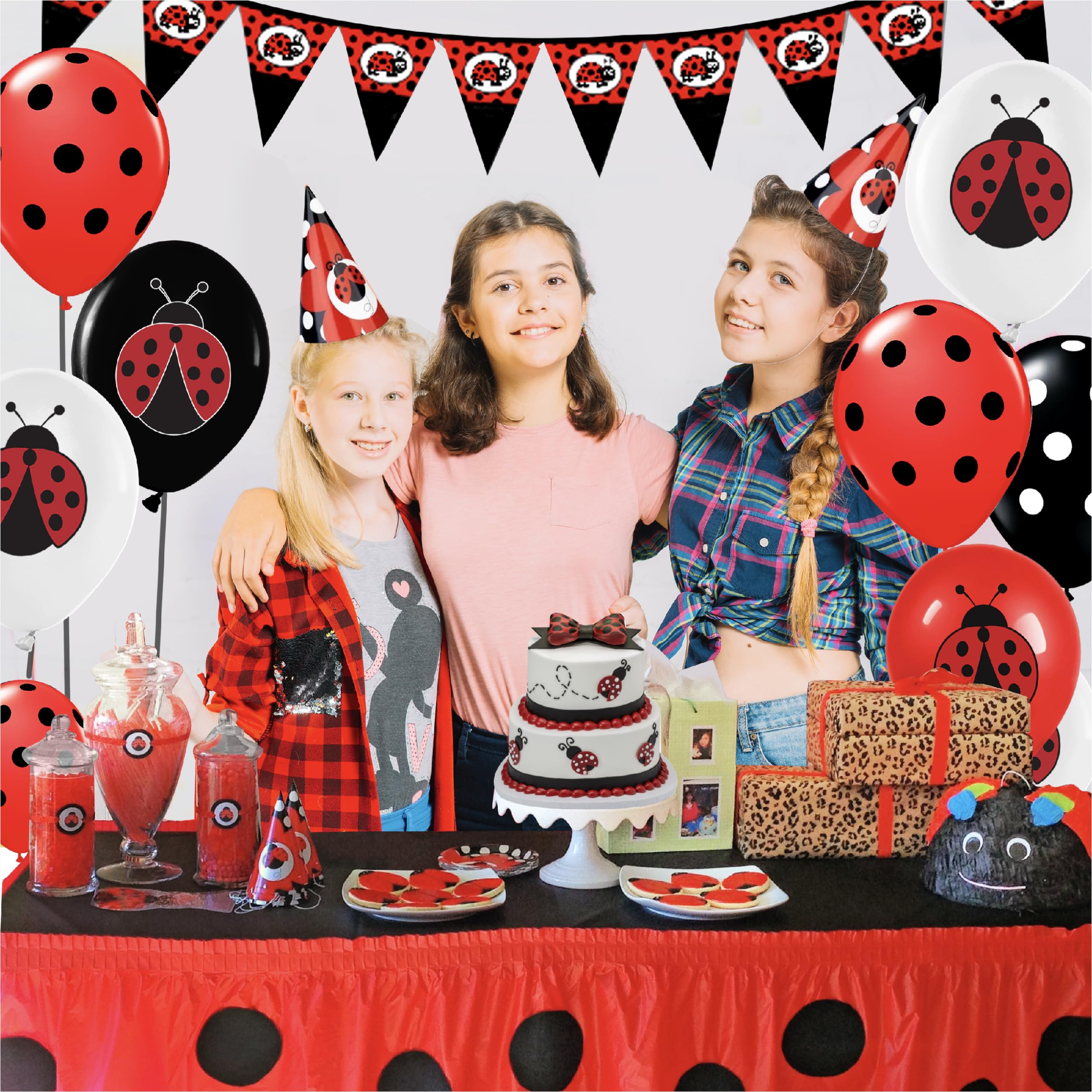 50 Pack Ladybug 12