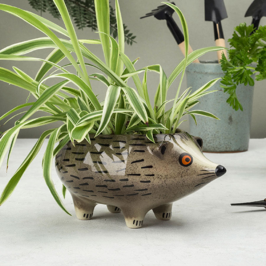Cute Hedgehog Planter - Small Succulent Flower Pot for Indoor Plants - Perfect for Home Decor, Office Desk, and Garden Gifts