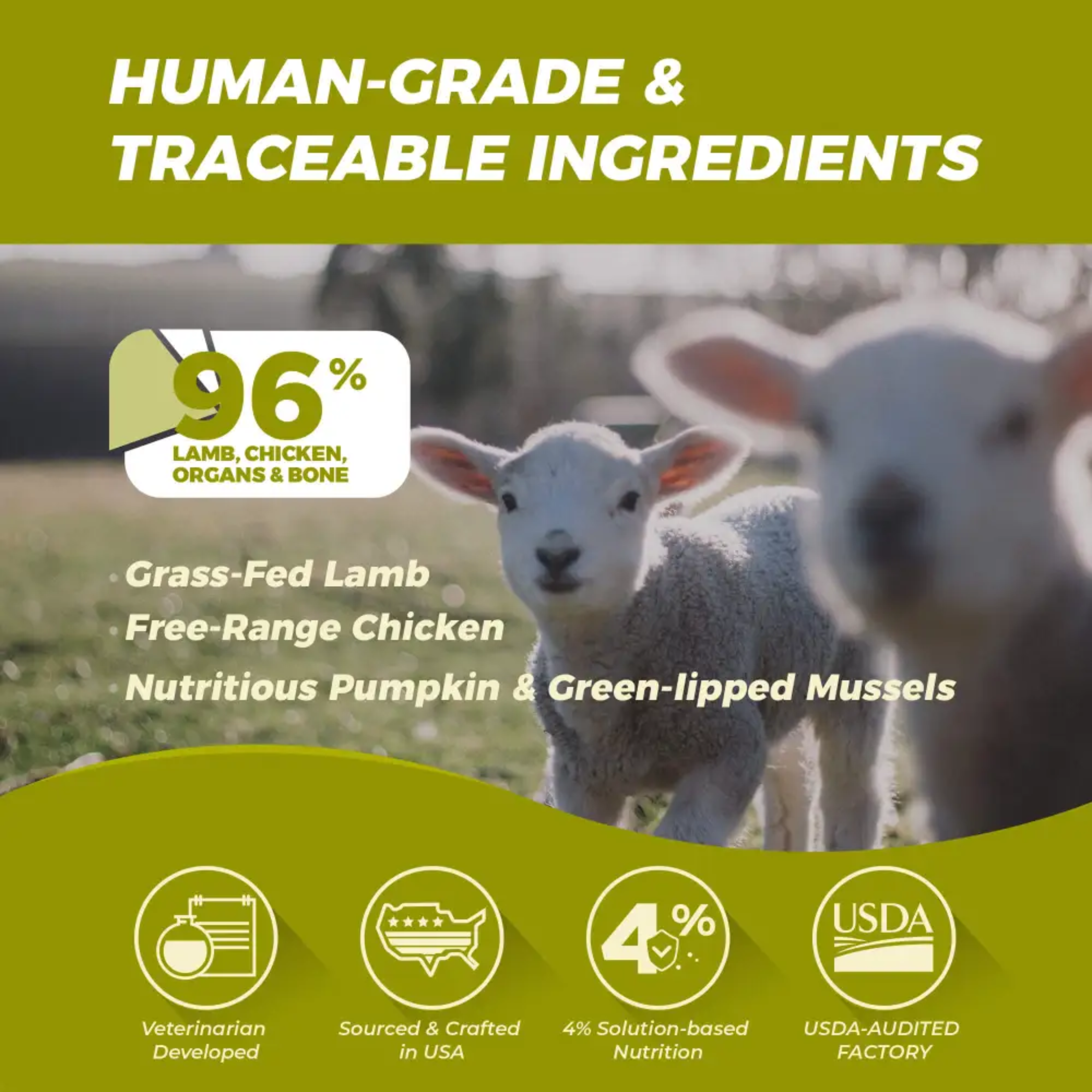 Premium Freeze-Dried Raw Cat Food for Sensitive Digestion - Grain-Free, High-Protein Recipe - Perfect for Indoor Cats & Digestive Health Support