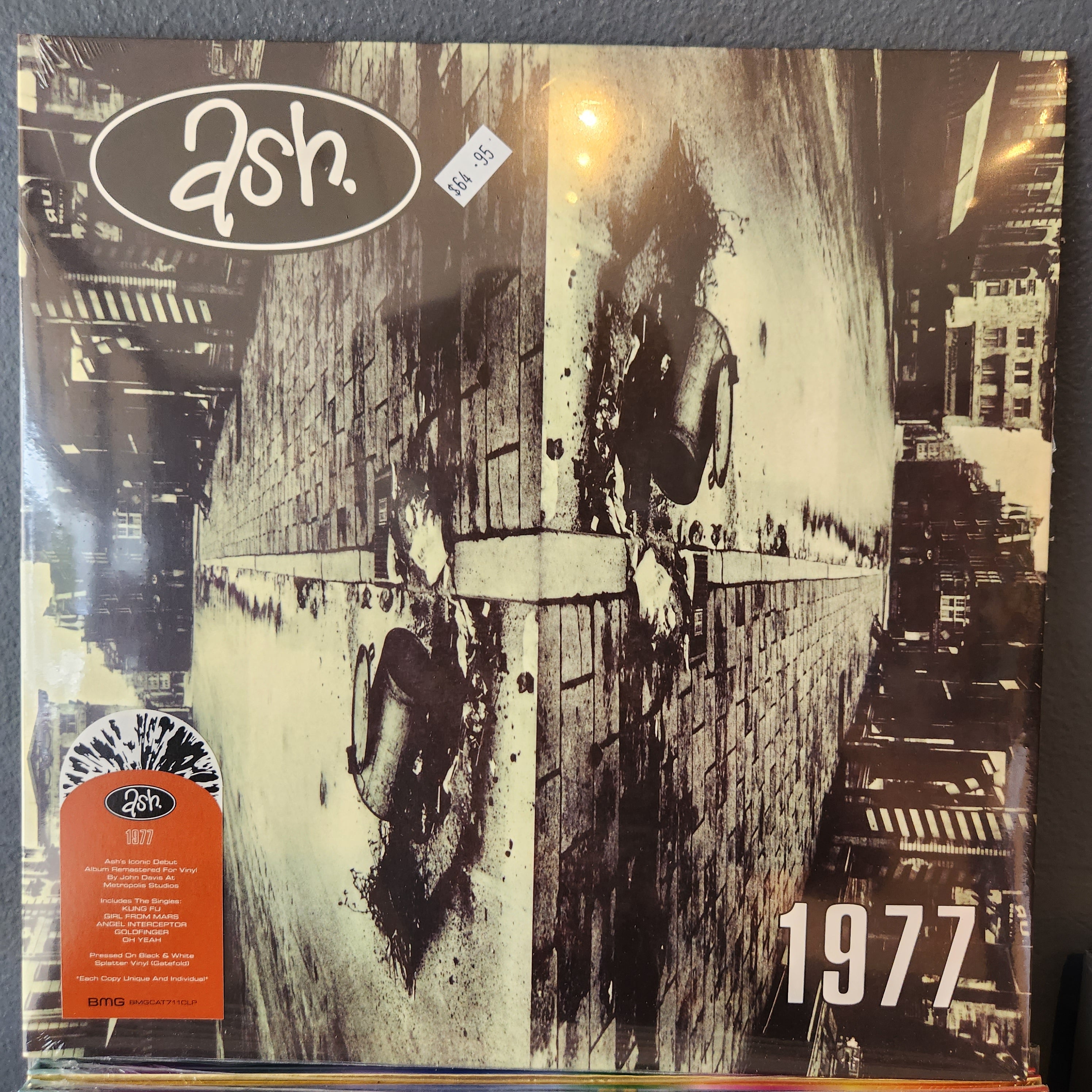 Ash 1977 Vinyl LP Record - Classic Punk Rock Album for Collectors & Music Lovers | Perfect for Home Listening, Gifts & Vinyl Collections