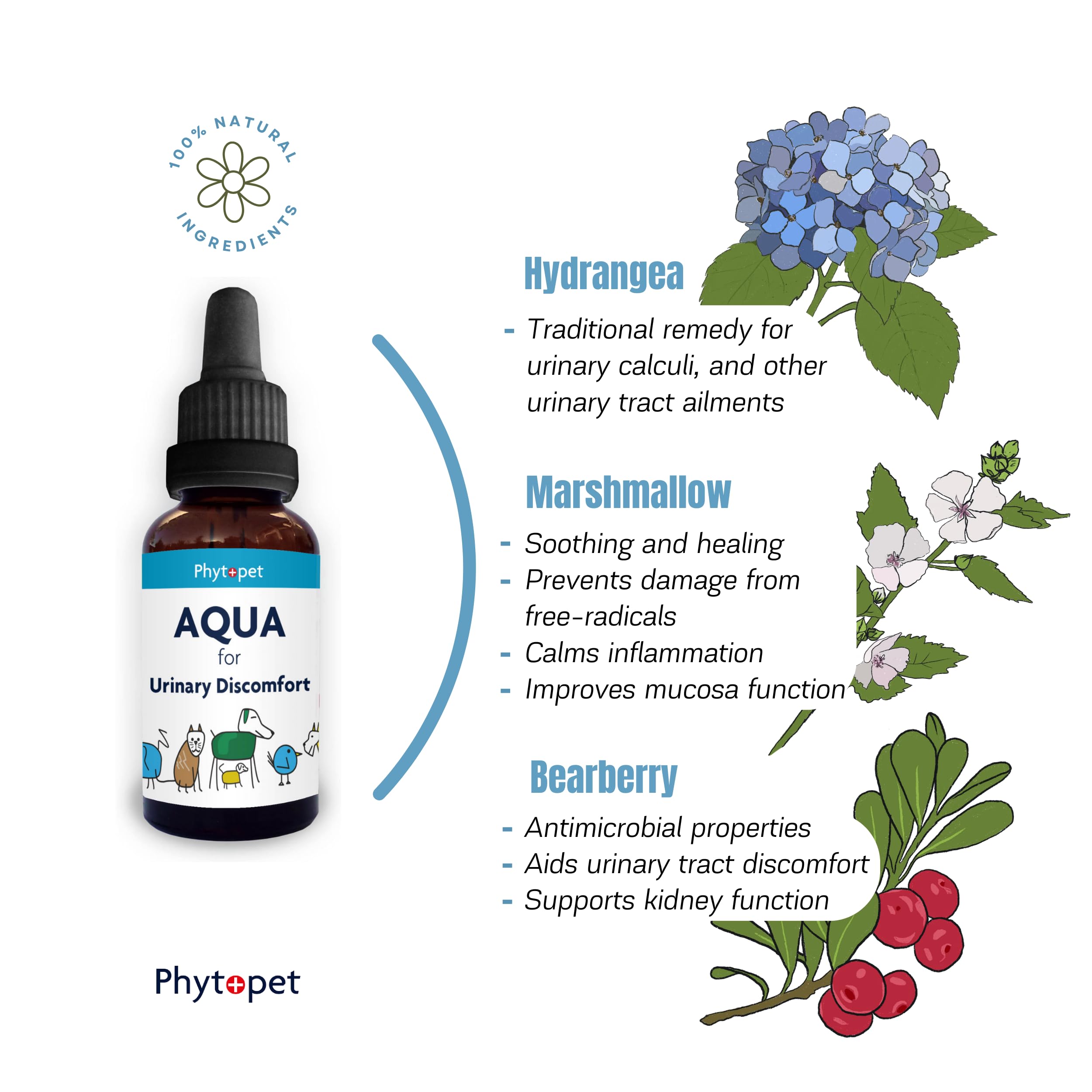 Natural Aqua Herbal Treatment for Pets - 30ml | Soothing Skin Care for Dogs & Cats | Relieves Itching, Allergies & Hot Spots | Perfect for Grooming & Daily Care