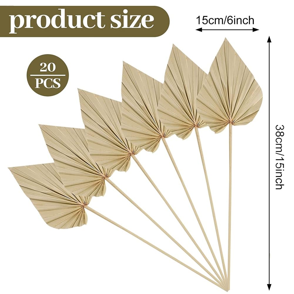 20Pcs Boho Dried Palm Spears Leaves - Natural Small Dried Palm Fans with Stems for Home Decor, Wedding Centerpieces, Vase Fillers and Tropical Themed Party Decorations