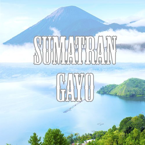 Premium Sumatra Gayo Coffee Beans - Low Acid, Fair Trade, Fresh Roasted Whole Bean Coffee, 5 lb Bag - Perfect for Home Brewing, Office Use & Gifts