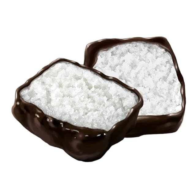 Anastasia Confections Original Coconut Patties with Chocolate - 12 Pack | Florida Coconut Candy | Perfect for Gifts, Parties & Snacking