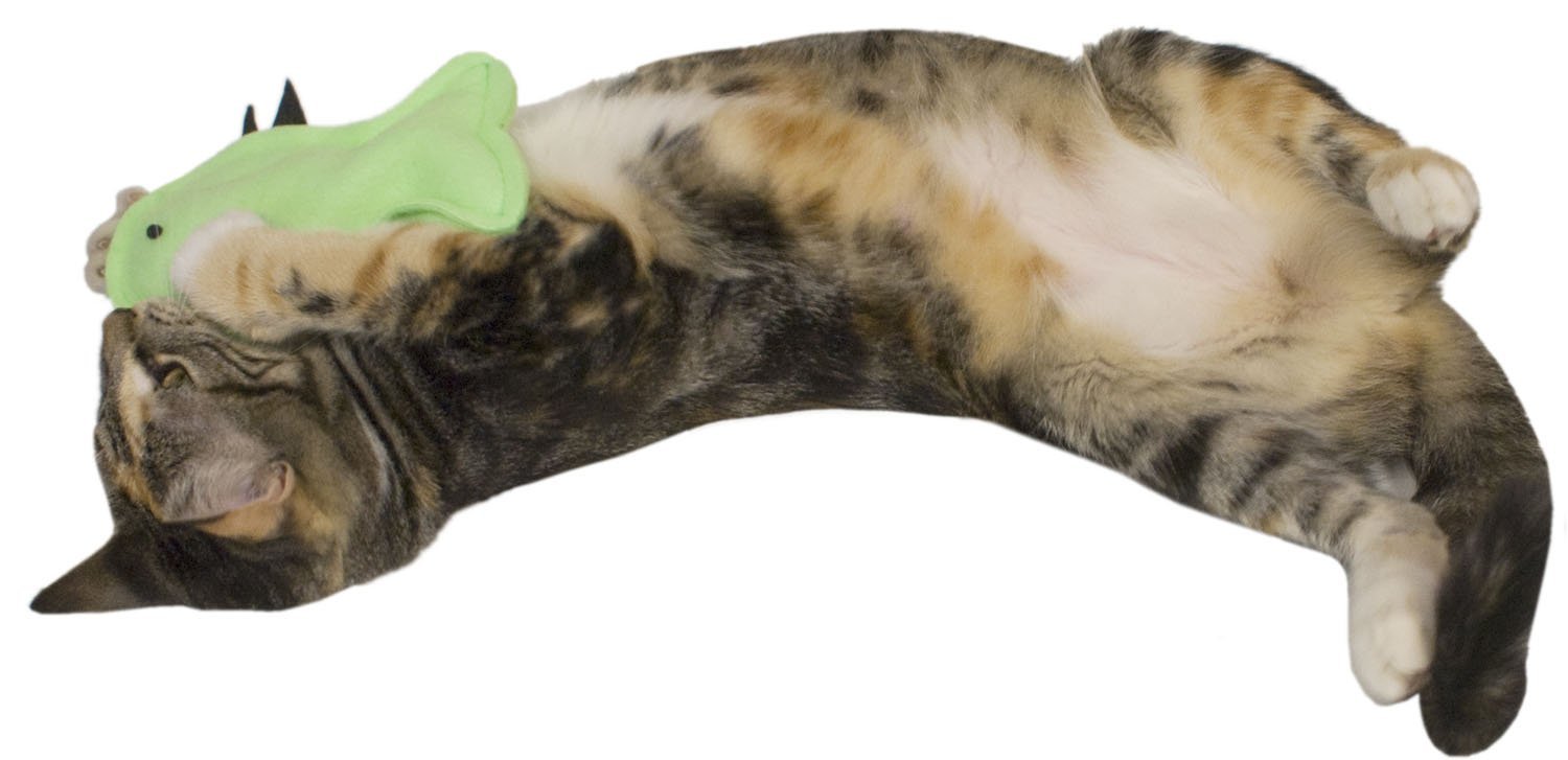 Premium Catnip Toy for Cats - Fun & Interactive Play with Fins - Perfect for Indoor Playtime & Stress Relief