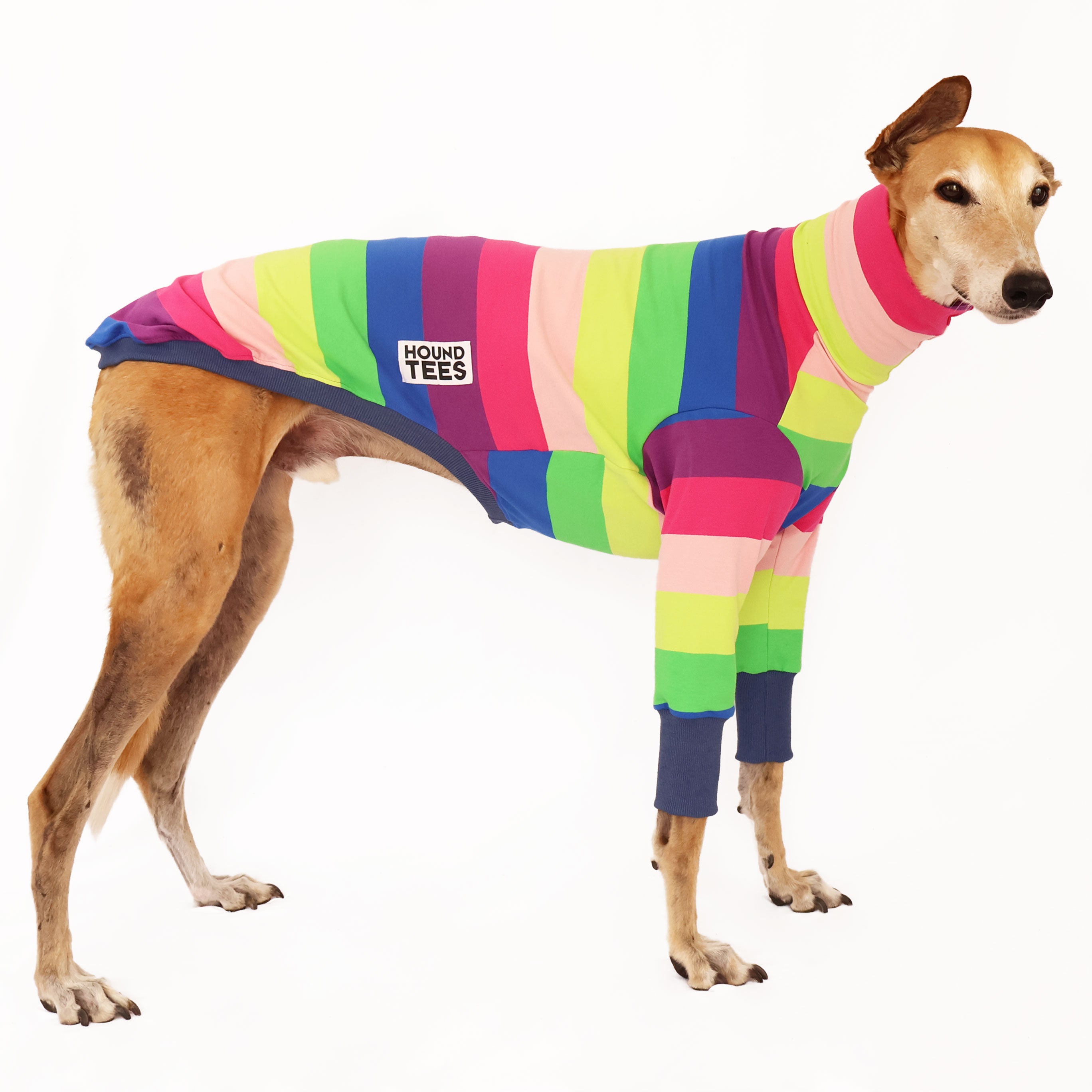 Greyhound Sour Snakes Long Sleeve Sweater - Cozy Pullover for Dog Lovers, Perfect for Casual Wear & Outdoor Activities
