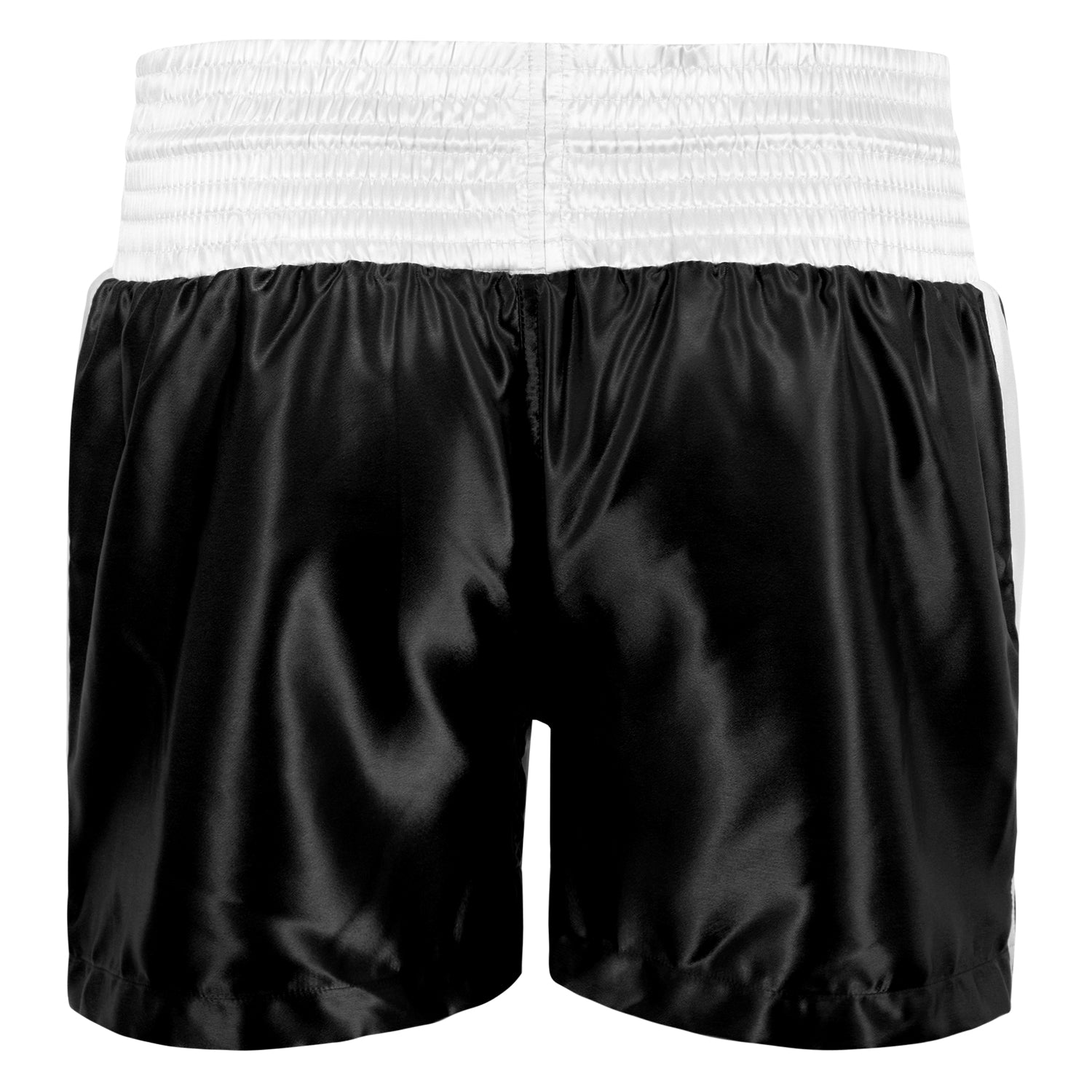 TITLE Boxing Pro Traditional Cut Trunks - Premium Boxing Shorts for Men, Comfortable & Durable Training Gear - Perfect for Boxing, MMA, Muay Thai & Gym Workouts