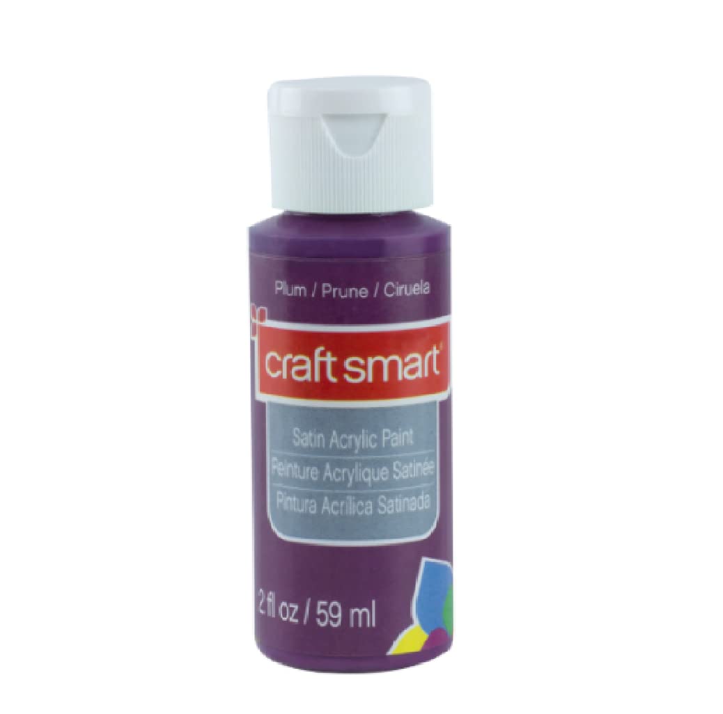 Craft Smart 2 oz Satin Acrylic Paint - Plum Purple for Canvas Painting, DIY Crafts & Home Decor - Premium Non-Toxic Art Supplies for Artists & Hobbyists