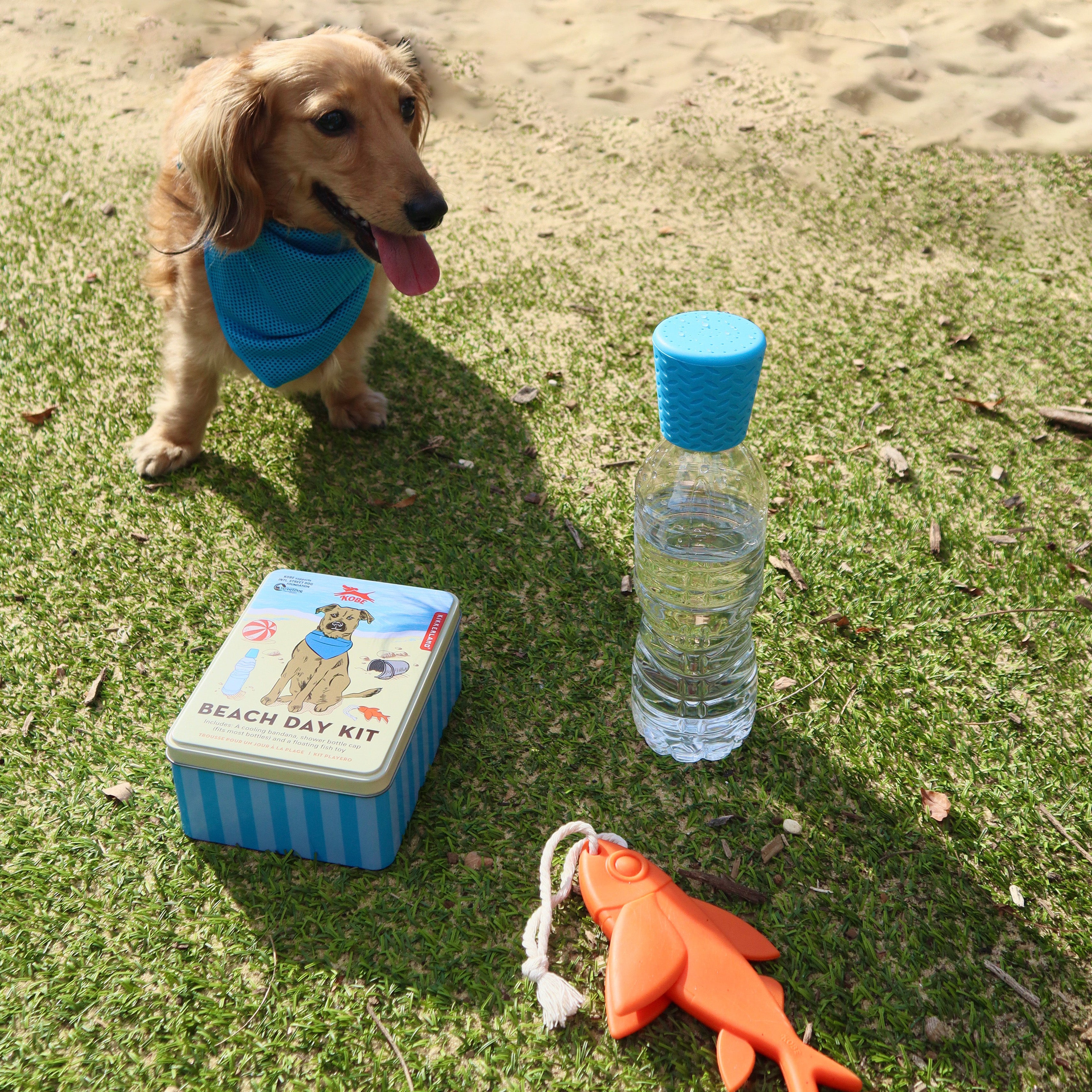 Kobe Beach Day Kit - Premium Sun Protection & Essentials for a Perfect Beach Day | Swimwear, Towel, Sunglasses & More | Ideal for Summer Vacations, Pool Parties & Water Sports