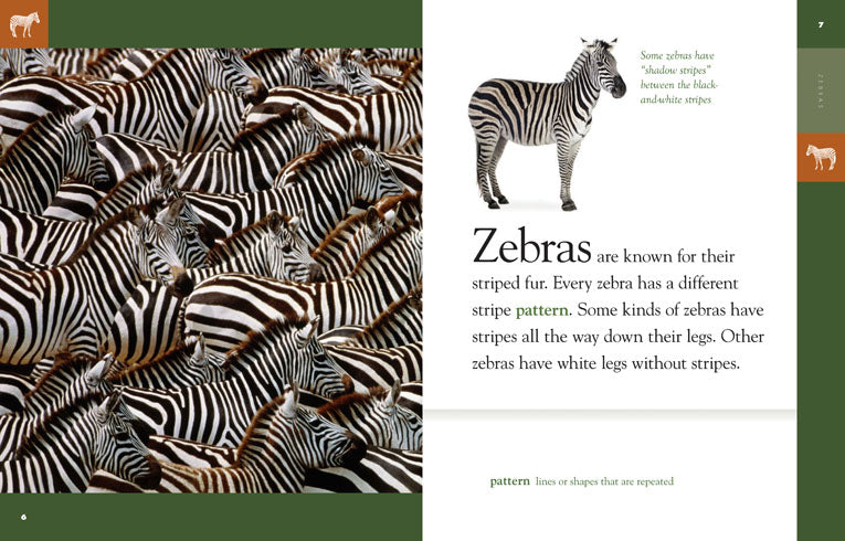 Amazing Animals (2014) - Zebras: Wildlife Documentary DVD | Educational Nature Films for Kids & Adults | Perfect for Classroom Learning & Family Movie Nights