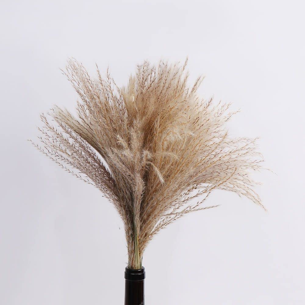 50 Pcs Natural Dried Pampas Grass Bouquet - Phragmites Reed Flowers for Home Decor, Wedding Centerpieces, Photo Shoot Props & Party Decoration | Boho Chic Living Room, Bridal Shower, Rustic Wedding Decorations
