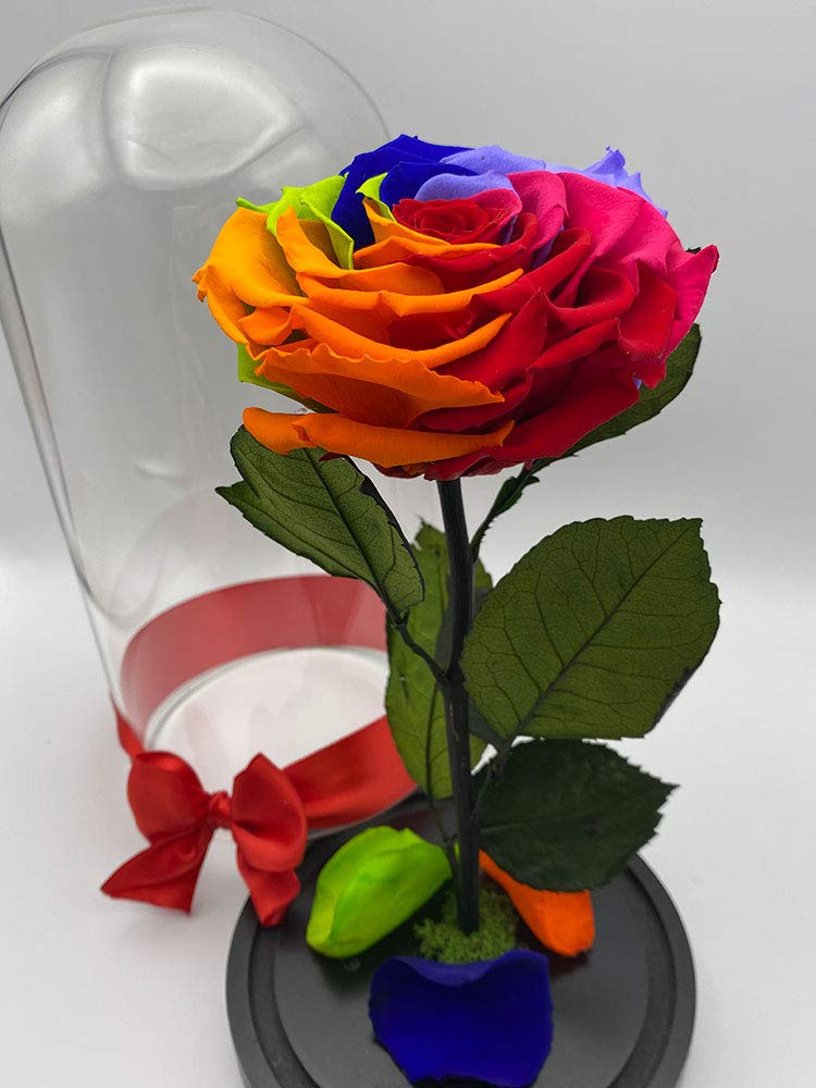 Forever Rose in Glass Dome - Handmade Preserved Real Rose, Long Lasting Beauty & the Beast Inspired Gift (Rainbow, Large Size) - Perfect for Mother's Day, Birthday, Anniversary, Valentine's Day, Proposal & Get Well Presents - Home Decor, Wedding Centerpiece & Romantic Gift Idea