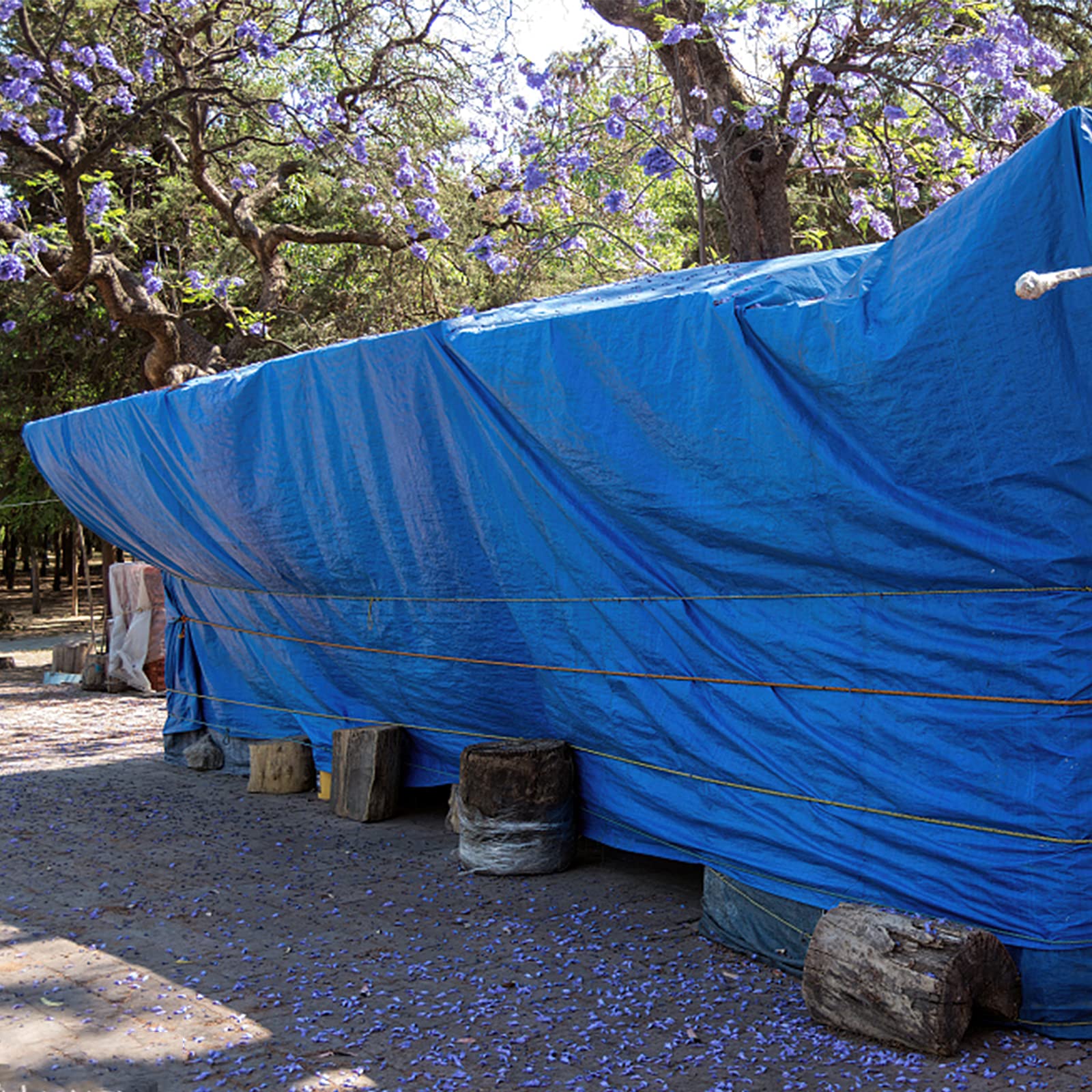 Heavy Duty Waterproof Poly Tarp 50x100ft - Blue Outdoor Cover for Roof, Camping, Patio & More | Durable Protection Against Rain, Sun & Wind