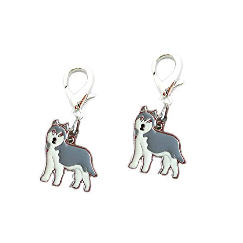 Gray-husky