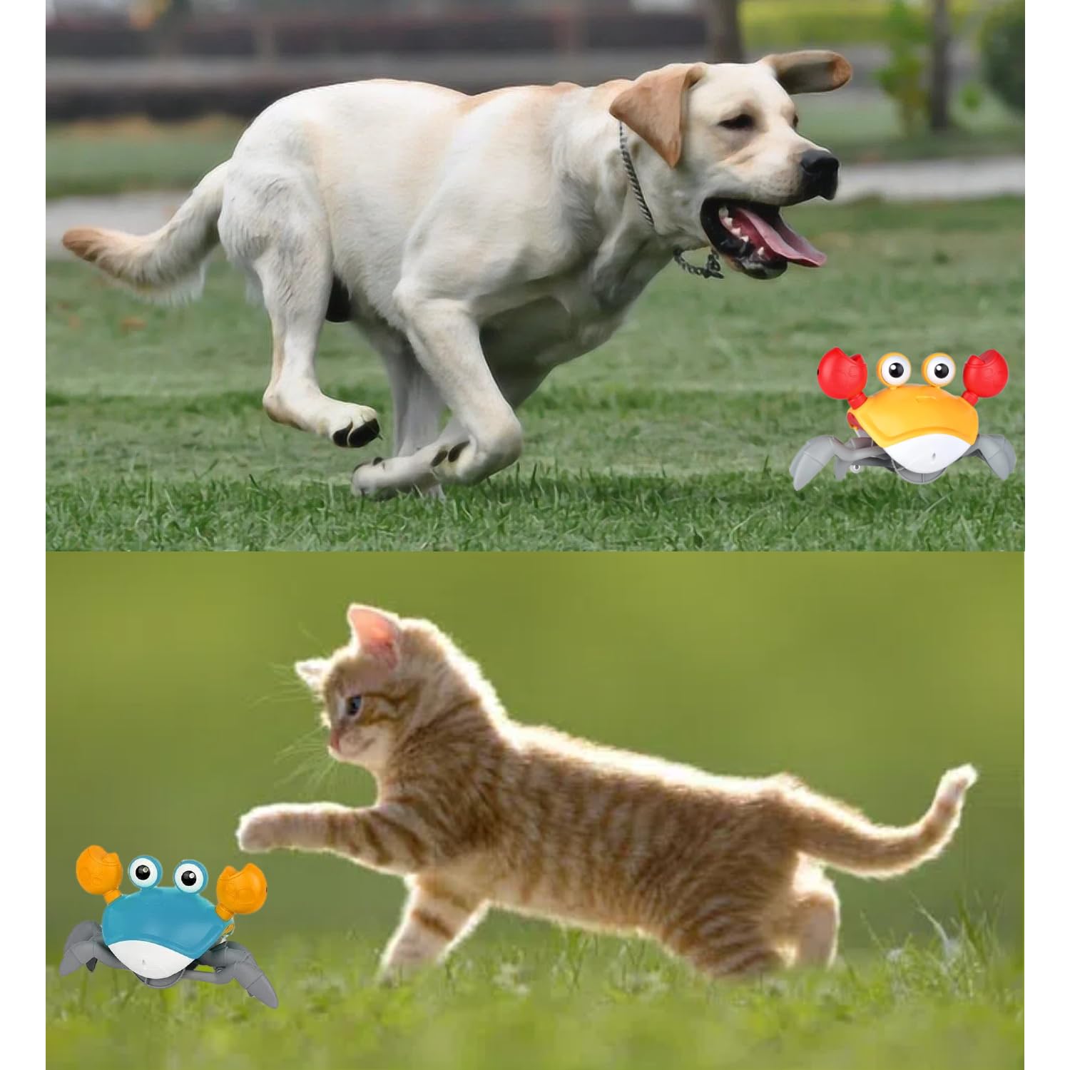 Interactive Crab Pet Toy with Obstacle Avoidance Sensor - Dancing, Music & LED Lights for Dogs & Cats - Fun Crawling & Escaping Game for Puppies, Small & Medium Pets - Perfect for Playtime, Training & Entertainment Gifts